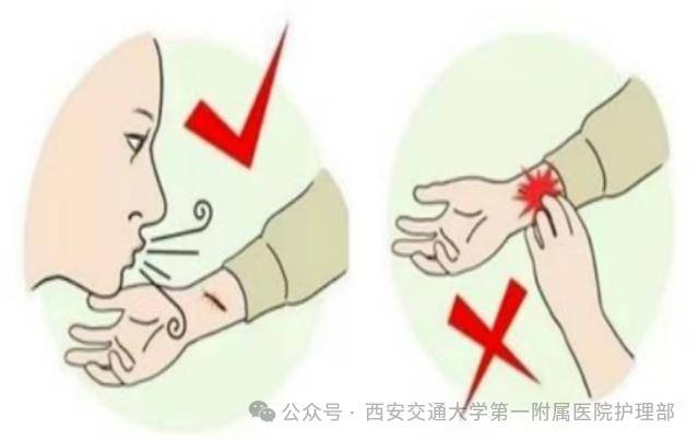 皇冠信用盘_西安多区发现隐翅虫?千万别拍皇冠信用盘!毒液堪比硫酸