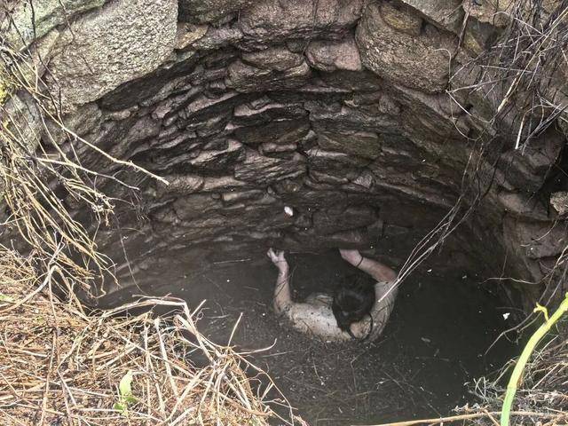 怎么开通皇冠信用網口_48岁女子坠废井54小时获救怎么开通皇冠信用網口,多条蛇缠身被咬也不敢动,绝望时想起家人和父母靠信念等来救援