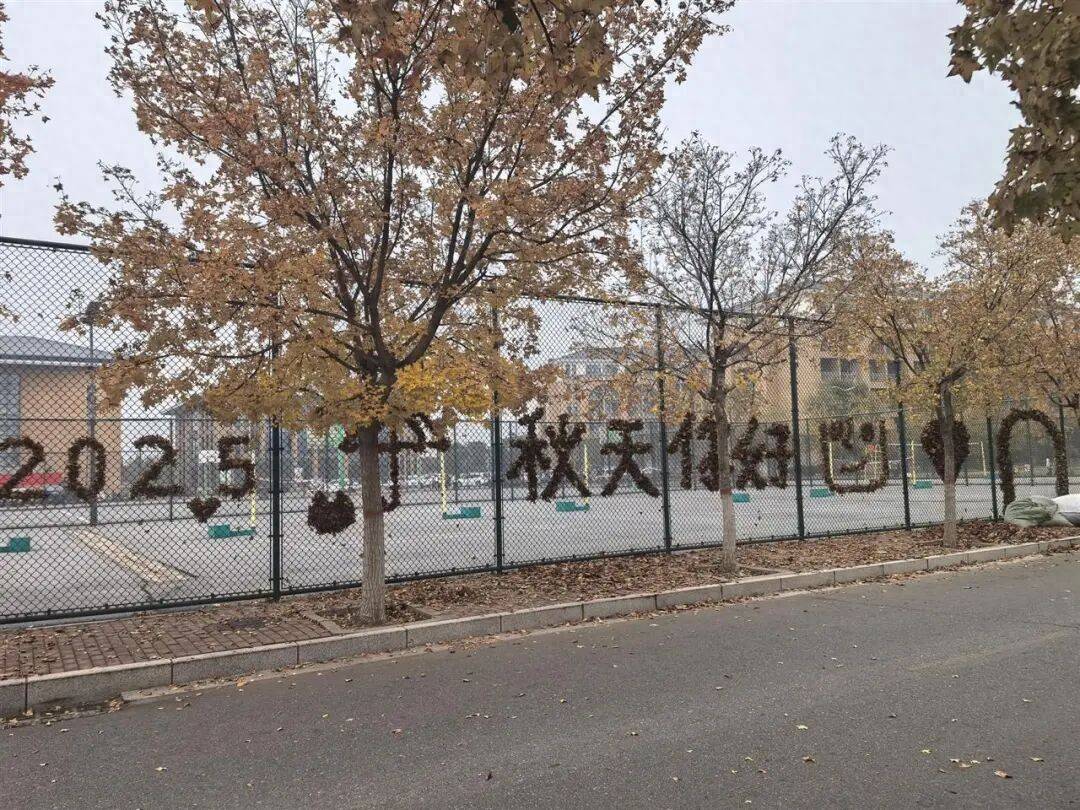 皇冠信用网怎么申请
_河南一医学院学生用落叶在篮球场铁网上插出心肝肺胃、注射器等图案皇冠信用网怎么申请
，学校：秋日限定浪漫