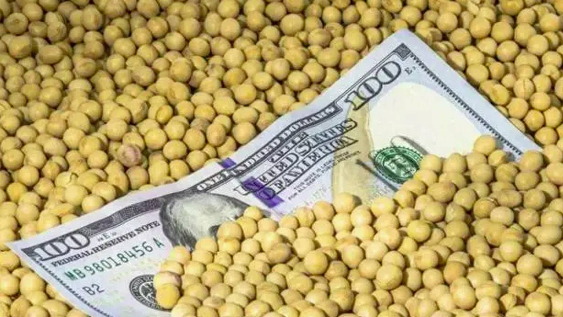 皇冠信用网足球代理
_美国大使给中方发来通牒皇冠信用网足球代理
,要求交出港口!美媒发现:中国采购美国大豆陷入停滞