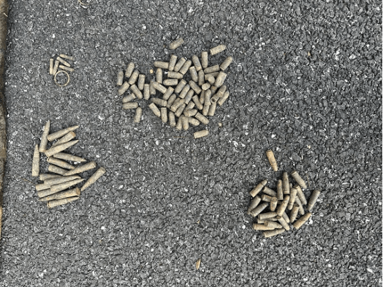 皇冠信用网登2代理
_男子钓到108发子弹以为是大鱼皇冠信用网登2代理
，警方：疑似为历史遗留弹药，已移交至相关部门处理